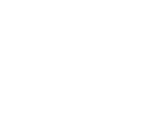 New BYD